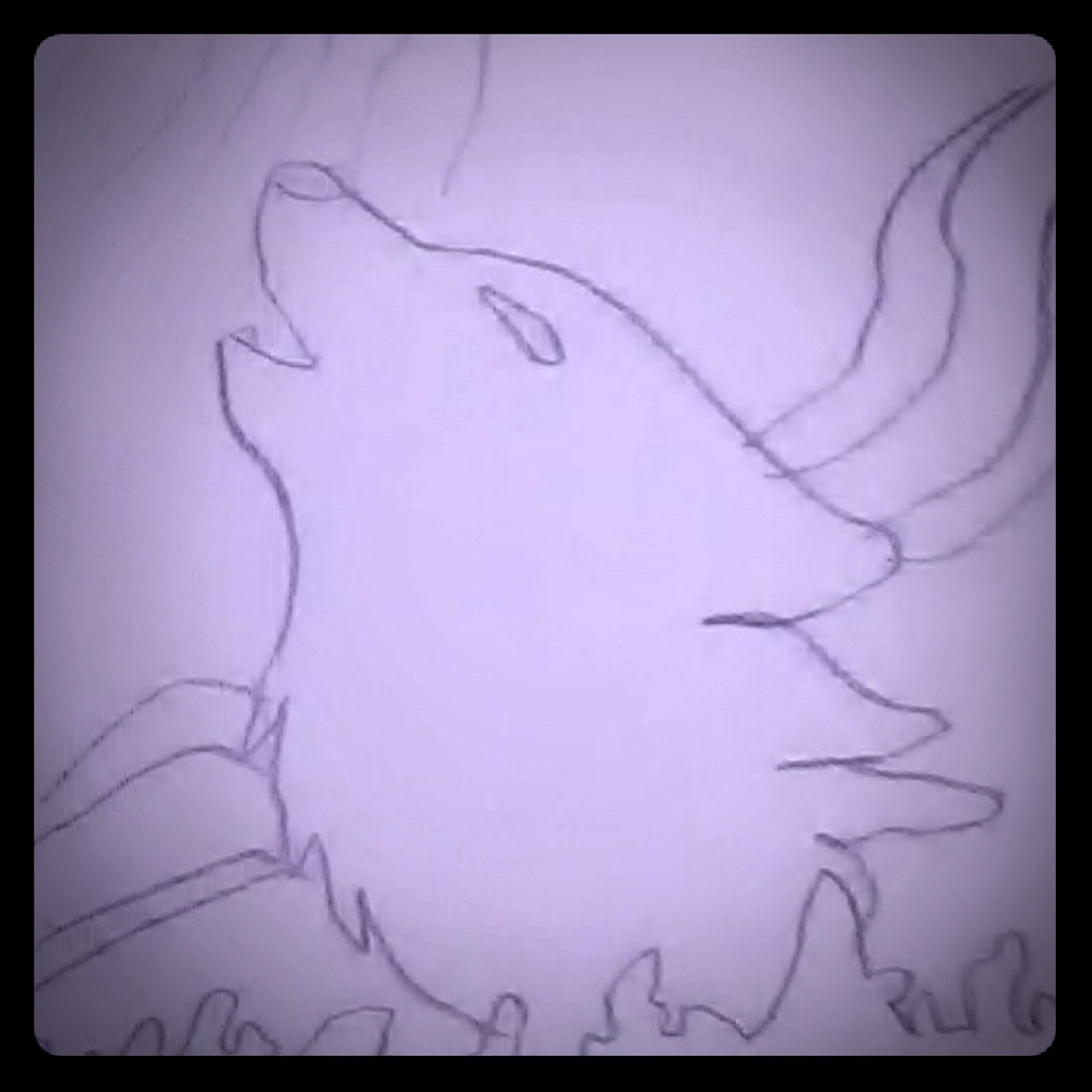 Drawings of wolfs